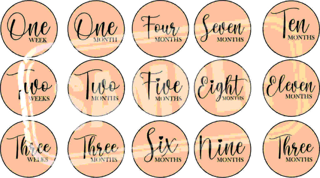 Baby Milestones Coasters – Monthly Photo Props – First Year Milestone