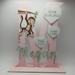 Standing Initial - Monkey with Baby Info