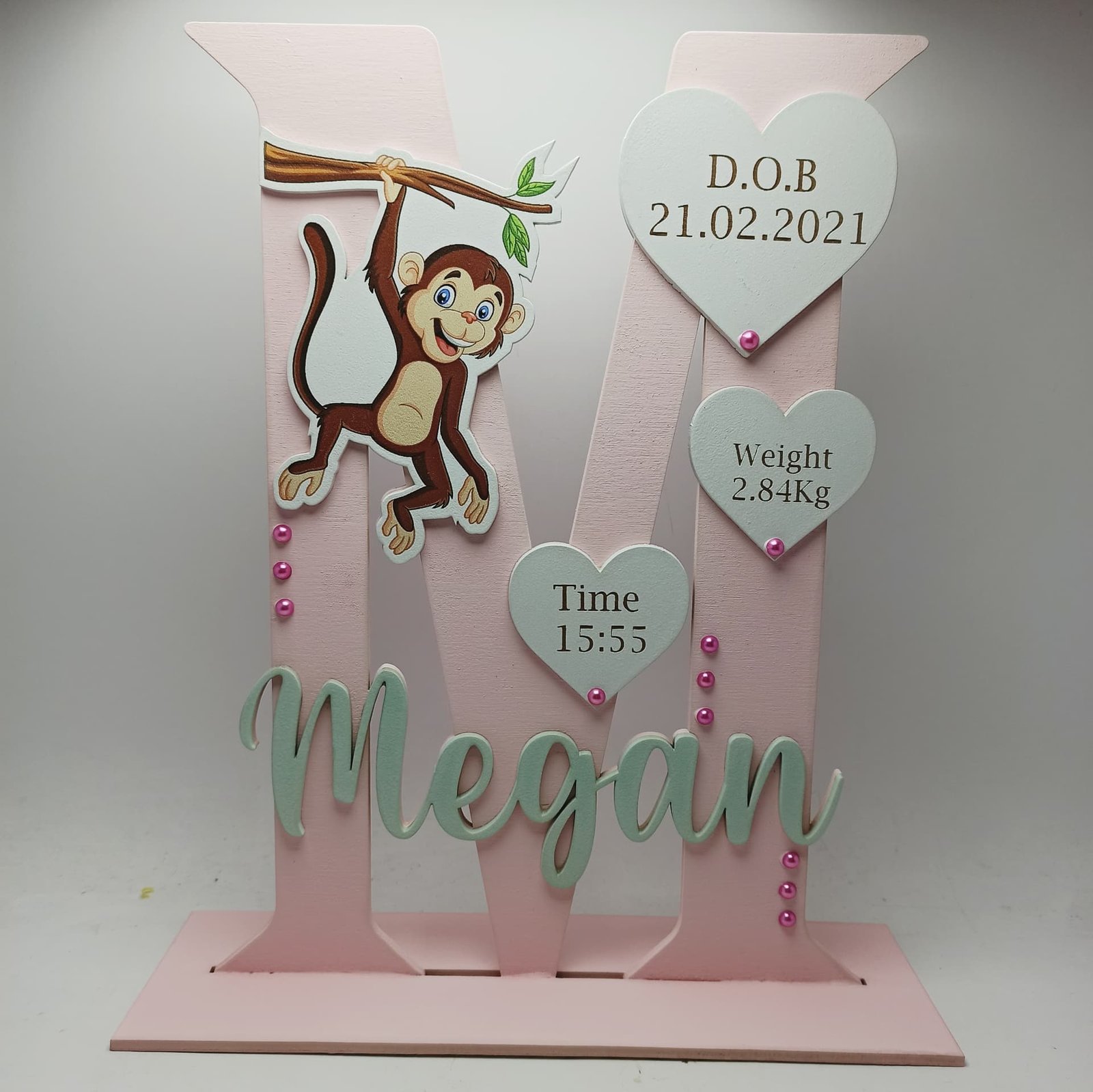 Standing Initial - Monkey with Baby Info
