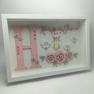 Baby Box Frame with Glass - Fox Theme