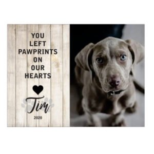 Personalised Pet Memorial Printed on Wooden Sign - Hanging - 3 Sizes available