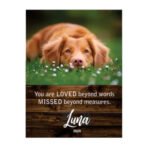Personalised Pet Memorial Printed on Wooden Sign - Hanging - 3 Sizes available