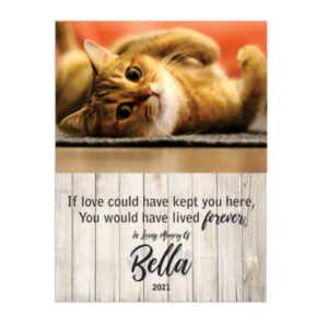 Personalised Pet Memorial Printed on Wooden Sign - Hanging - 3 Sizes available