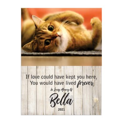 Personalised Pet Memorial Printed on Wooden Sign - Hanging - 3 Sizes available