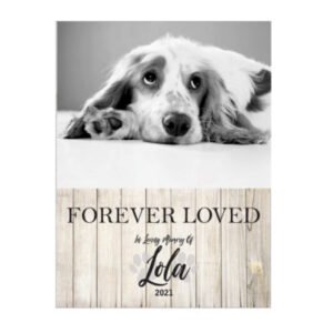 Personalised Pet Memorial Printed on Wooden Sign - Hanging - 3 Sizes available