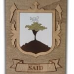 Said Surname Family Crest