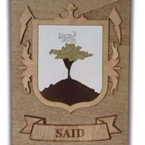 Said Surname Family Crest