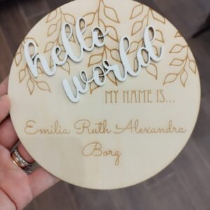 Hello World - Baby Announcement card
