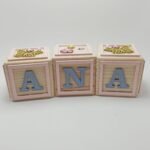 Baby Blocks -Flowers & Butterflies Theme