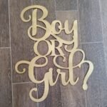 Gender Reveal Hanging Sign - Boy or Girl