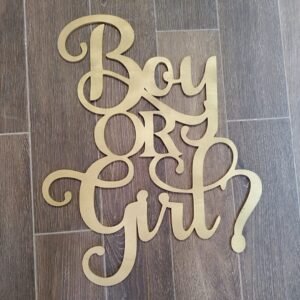 Gender Reveal Hanging Sign - Boy or Girl
