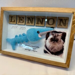 Box Frame with Glass - Pet Memory Frame